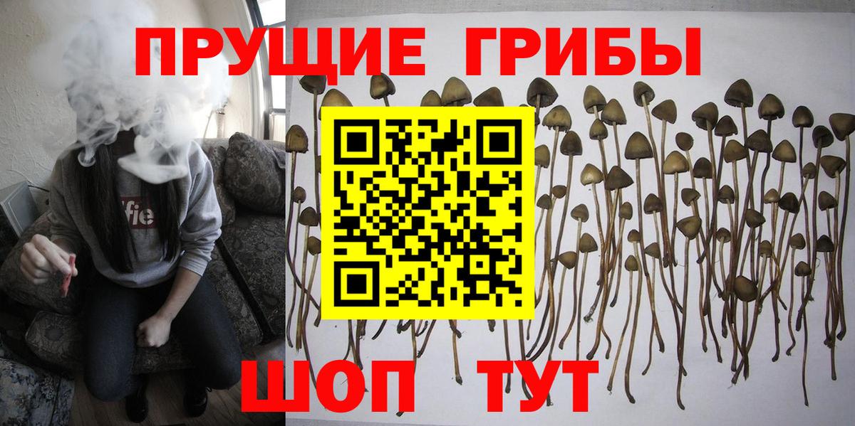 Гай  Галлюциногенные грибы мухоморы  Галлюциногенные грибы GOLDEN TEACHER  Вход с VPN 
